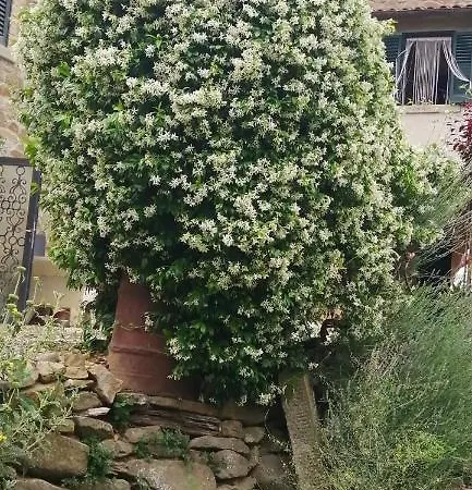 Casa Lepri Poggioni